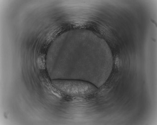 X0000102400868200808221846