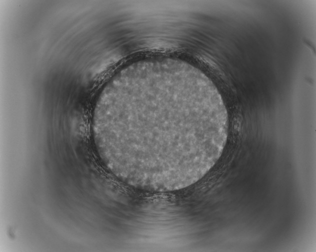 X0000102400869200808221845