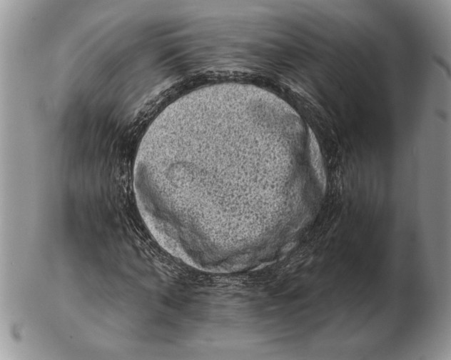 X0000102400870200808221845
