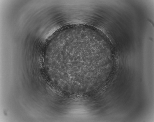 X0000102400871200808221845