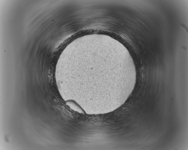 X0000102400872200808221845