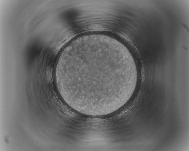 X0000102400873200808221845