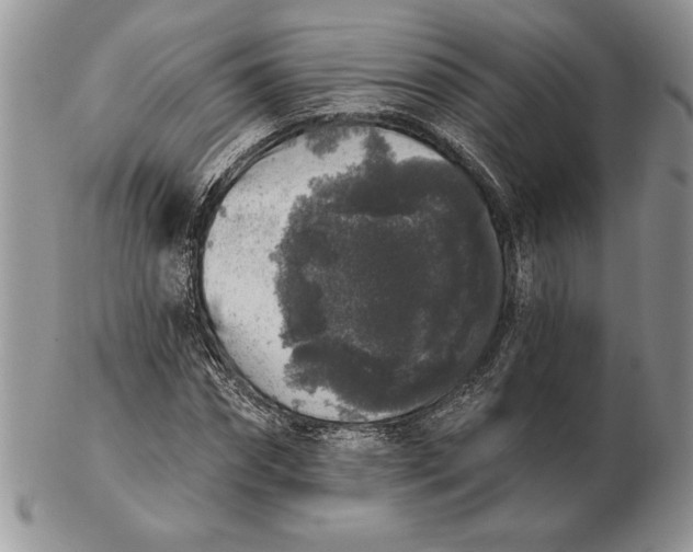 X0000102400874200808221845