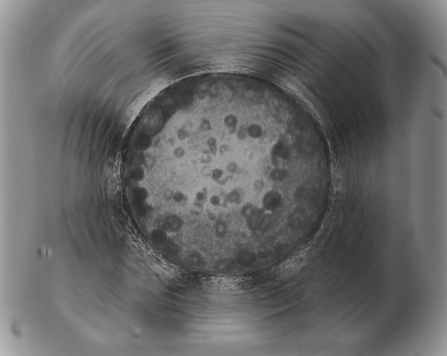 X0000102400875200808221845