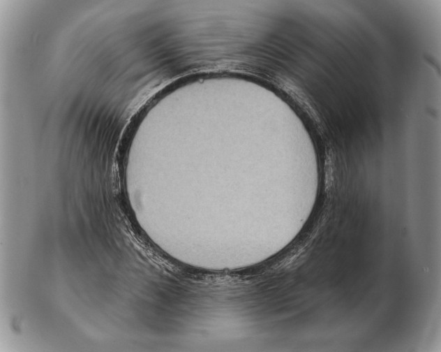 X0000102400876200808221845