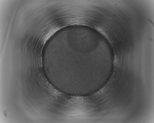 X0000102400877200808221845