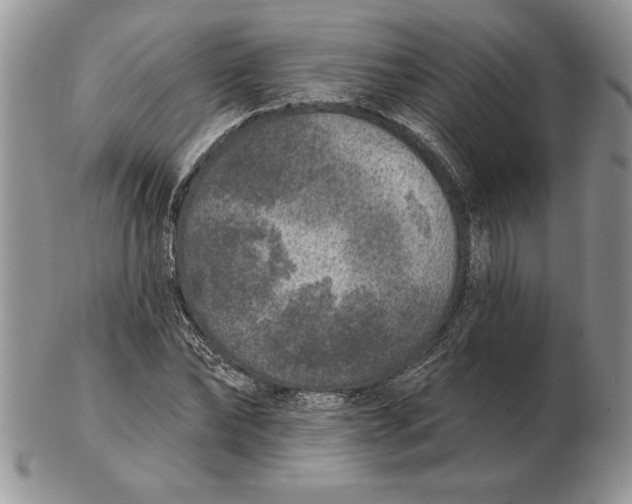 X0000102400878200808221845