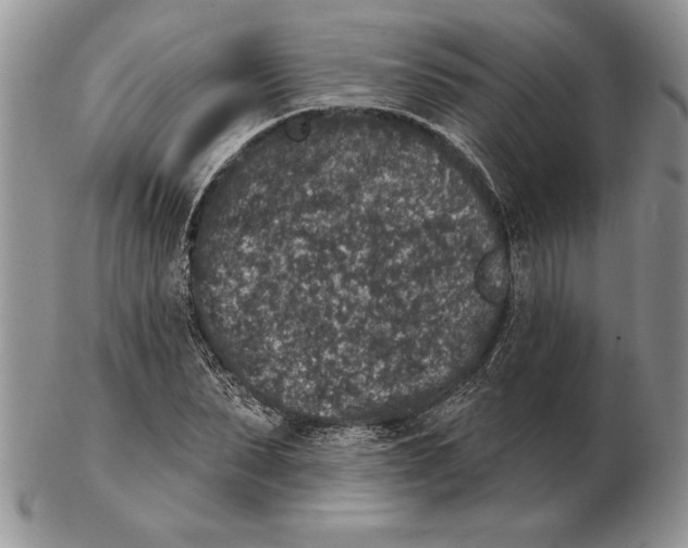 X0000102400879200808221845