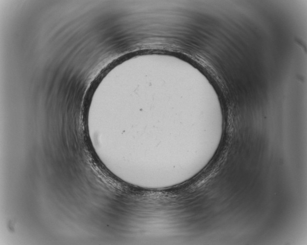 X0000102400880200808221845