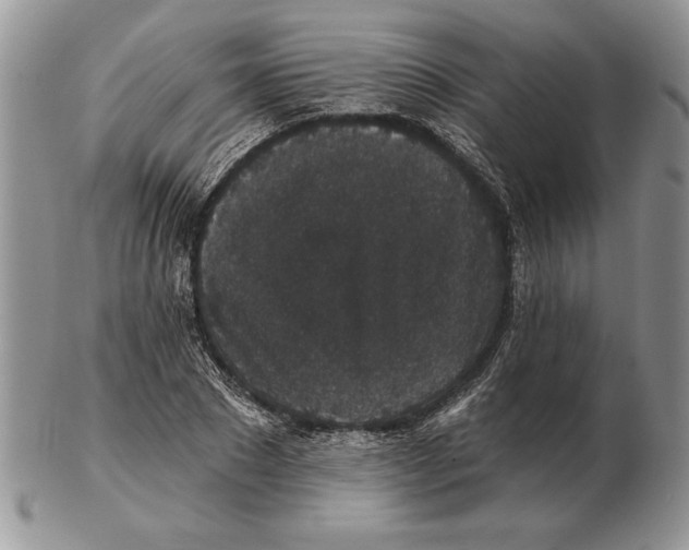 X0000102400881200808221845