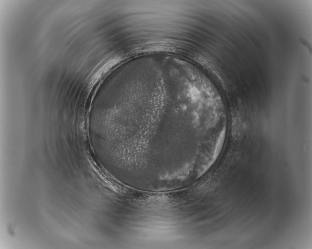 X0000102400882200808221845