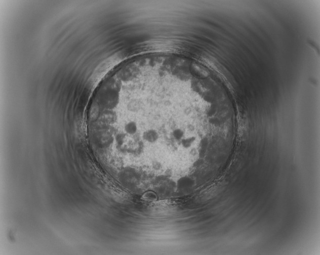 X0000102400883200808221845