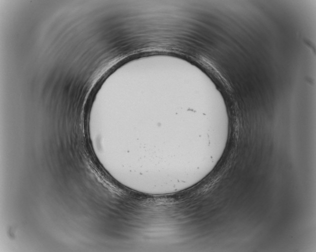 X0000102400884200808221845