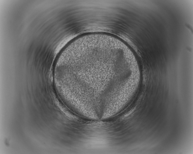 X0000102400885200808221845