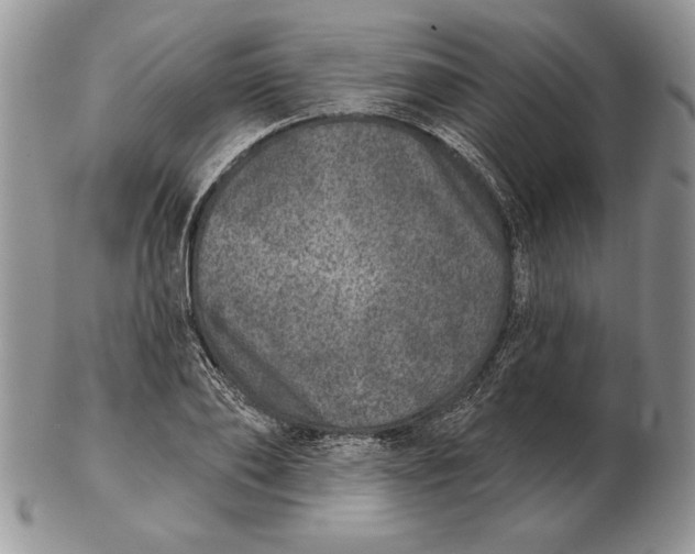 X0000102400886200808221845