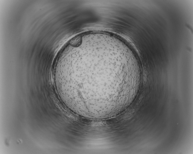 X0000102400887200808221845