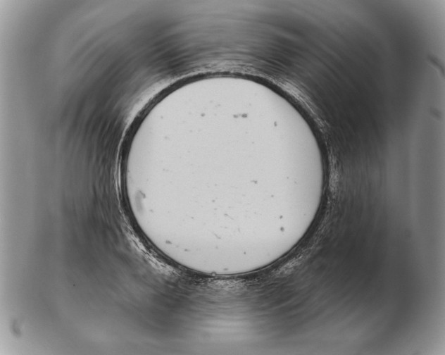 X0000102400888200808221845