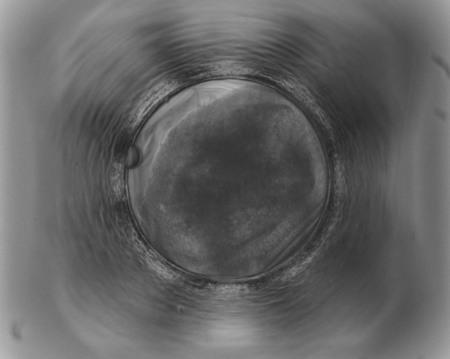 X0000102400889200808221845