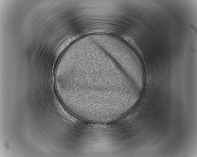 X0000102400890200808221845
