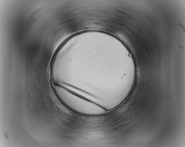 X0000102400891200808221845
