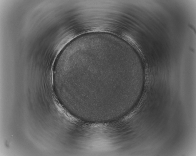 X0000102400892200808221845