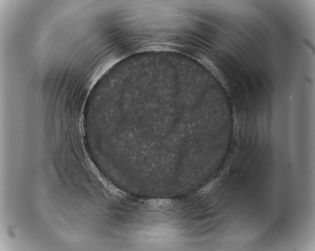 X0000102400893200808221845