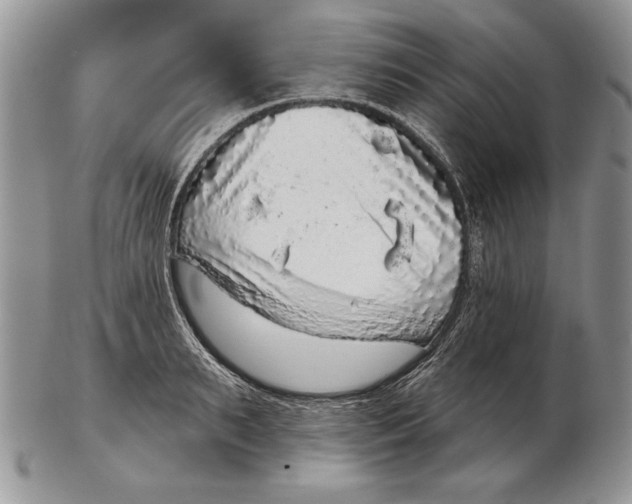 X0000102400895200808221845