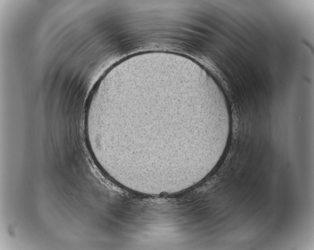 X0000102400896200808221845