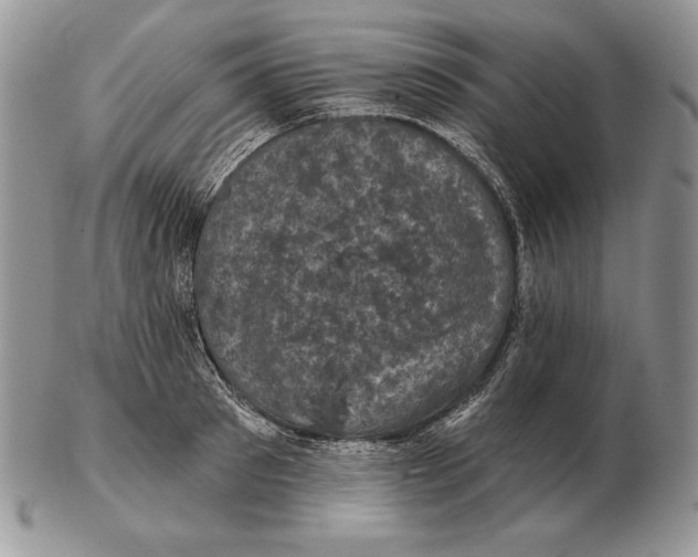 X0000102400897200808221845