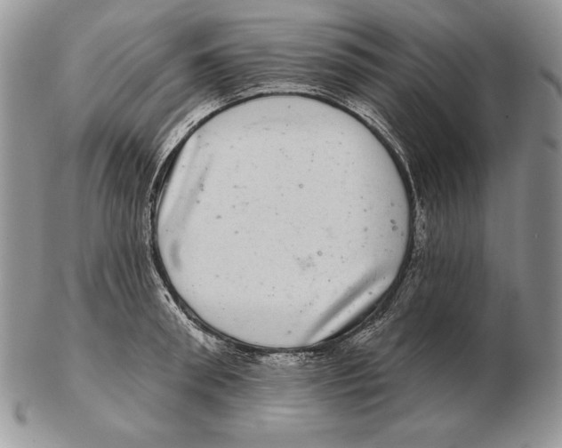 X0000102400898200808221845