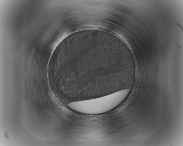 X0000102400899200808221845