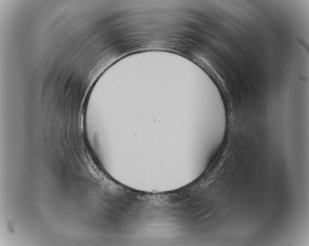 X0000102400900200808221845