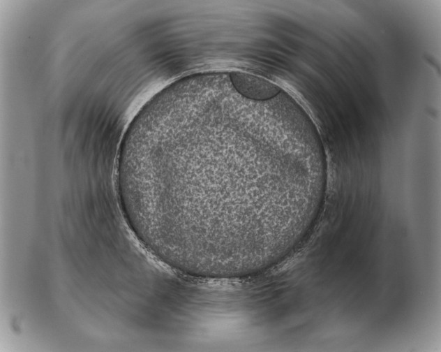 X0000102400901200808221845