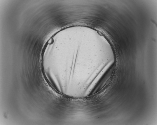 X0000102400902200808221845