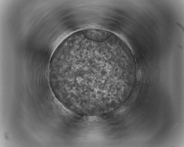X0000102400903200808221845