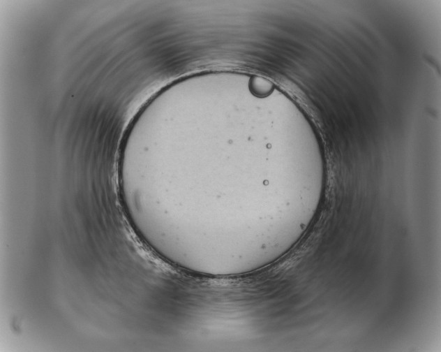 X0000102400904200808221845