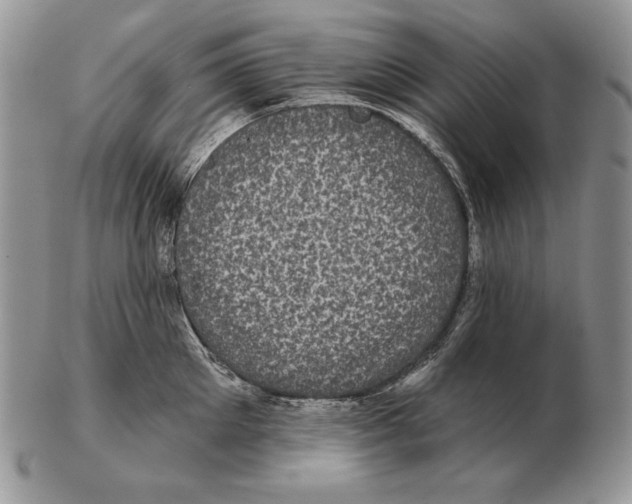 X0000102400905200808221845