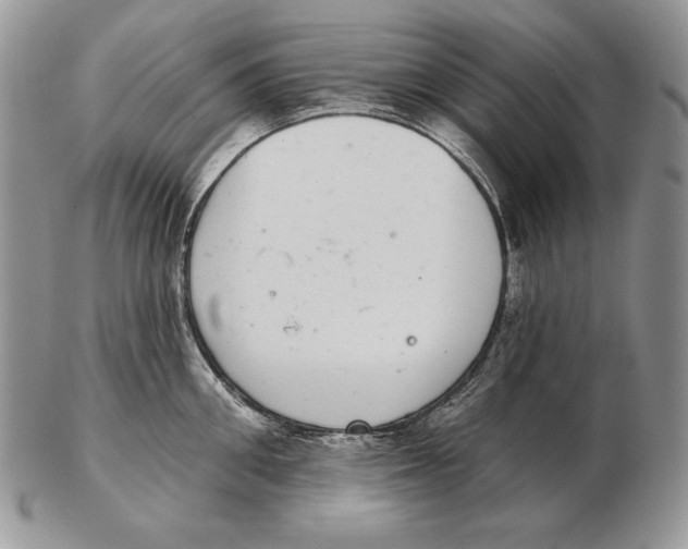 X0000102400906200808221845