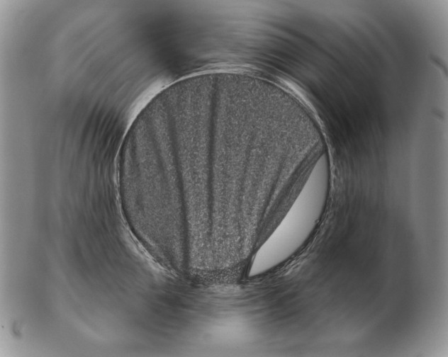 X0000102400907200808221845