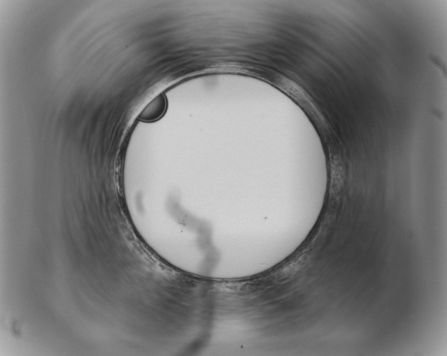 X0000102400908200808221845