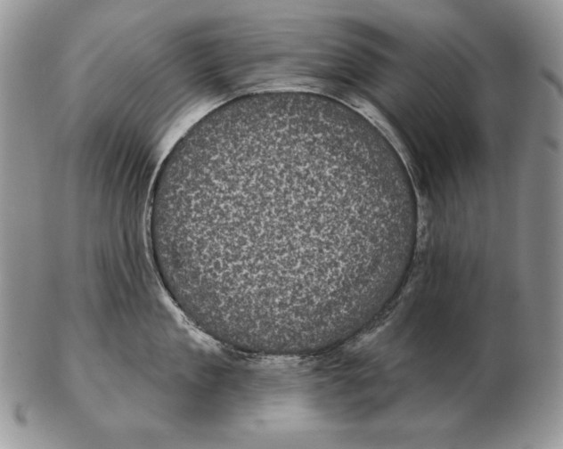X0000102400909200808221845
