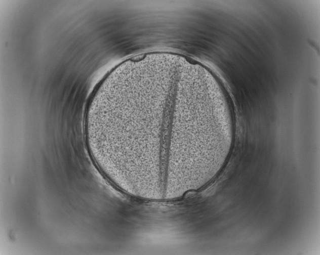 X0000102400910200808221845