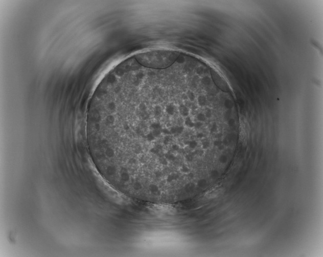 X0000102400911200808221845