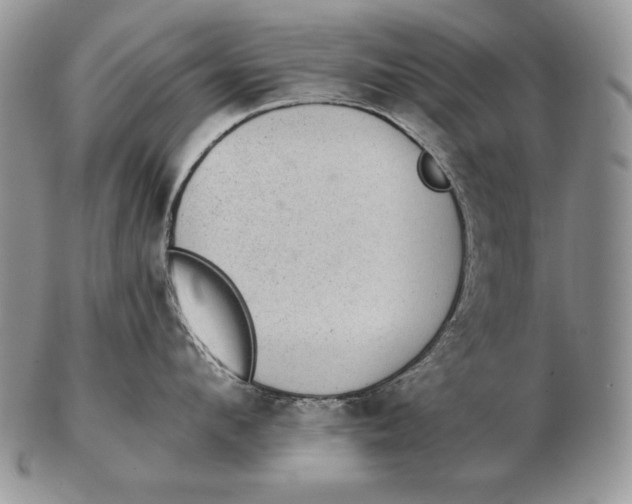 X0000102400912200808221845
