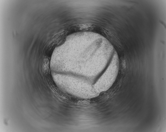 X0000102400914200808221844