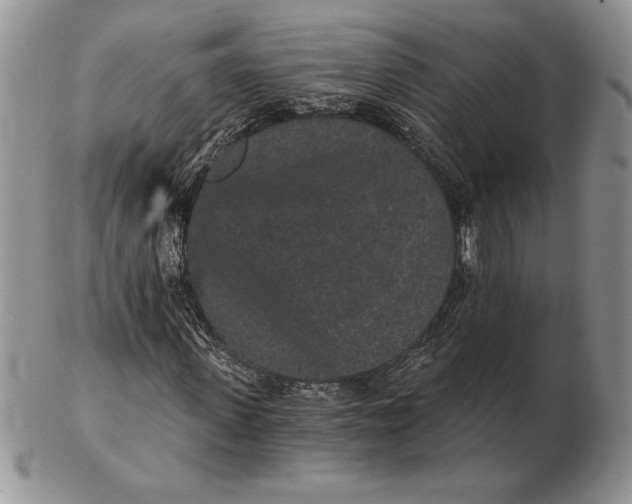 X0000102400915200808221844