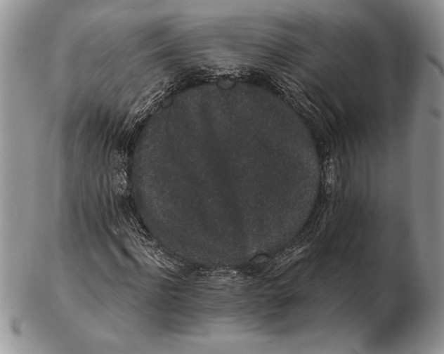 X0000102400916200808221844