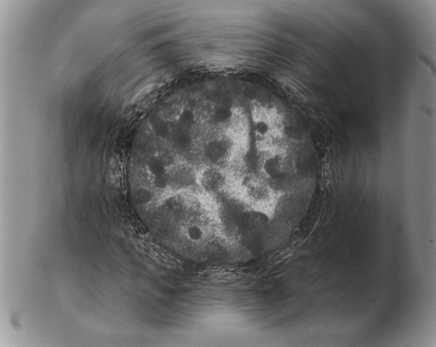 X0000102400917200808221844