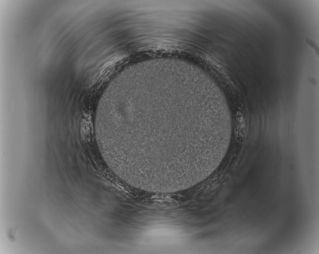 X0000102400918200808221844