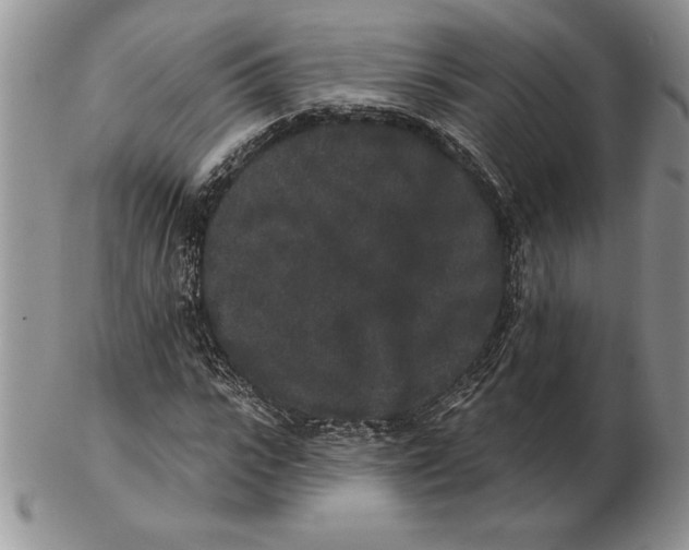 X0000102400919200808221844